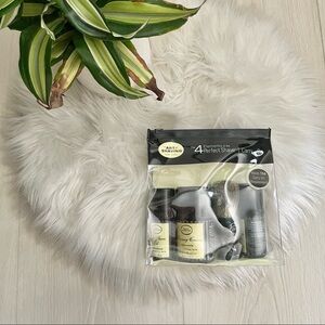 The art of shaving - travel kit